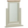 Portbury Swing Mirror